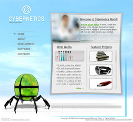 蓝色清新 海外科技公司网页设计与策划的视觉革新